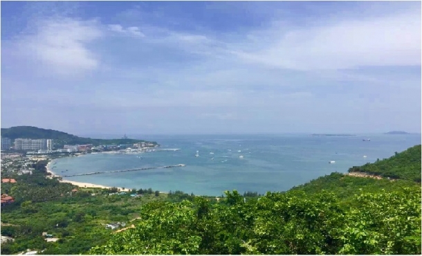 大チャンス！中国（海南）自由貿易試験区でできること