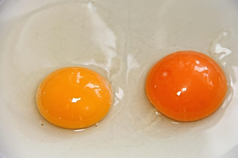 生卵を食べるのは日本だけ？台湾の卵事情