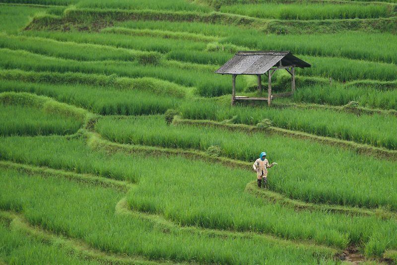 タイ経済ニュース：2026年8月前半